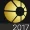DVD-Cloner Gold Crack Full Version