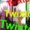 Twixtor Crack + Activator (Updated)