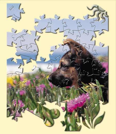 AV Bros. Puzzle Pro Crack + Keygen