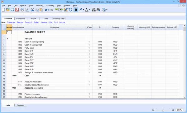 Banana Accounting Crack With Activation Code 2025