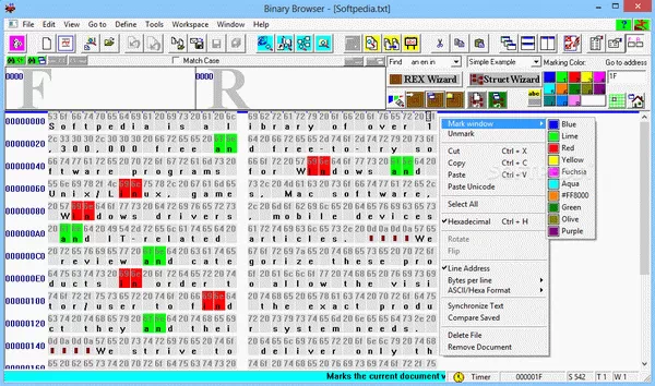 Binary Browser Crack + License Key (Updated)