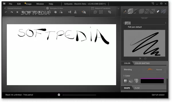 BlackInk Crack With Activator Latest 2025