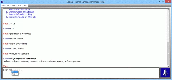 Braina Crack With Activator