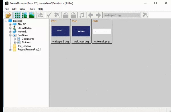 BreezeBrowser Pro Crack & License Key