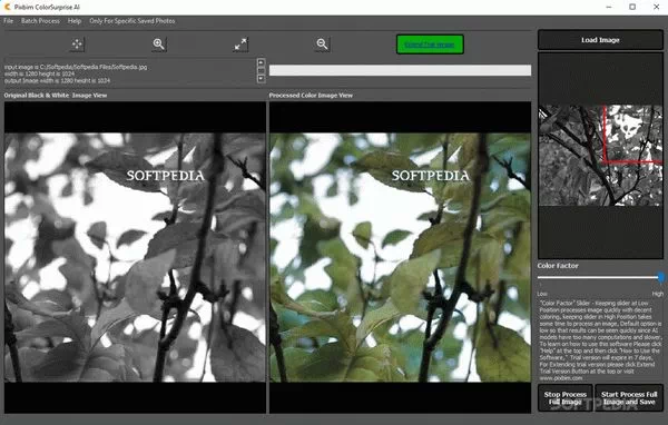 ColorSurprise AI Serial Key Full Version