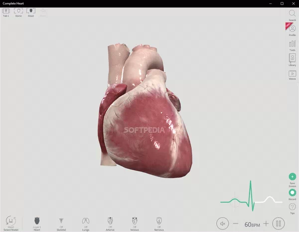 Complete Heart Crack With Activator Latest