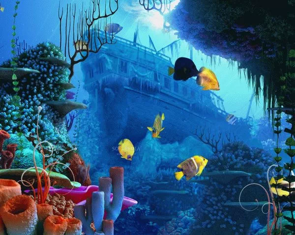 Coral Reef 3D Screensaver Serial Number Full Version