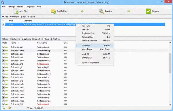 ReNamer Lite Crack Plus Keygen