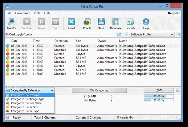 Disk Pulse Pro Crack Plus License Key