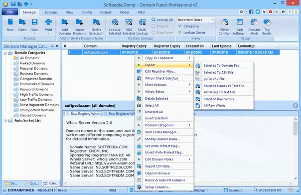 Domain Punch Professional Crack With Activator Latest 2025