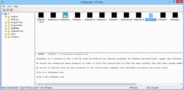 EFS Key Crack Plus License Key
