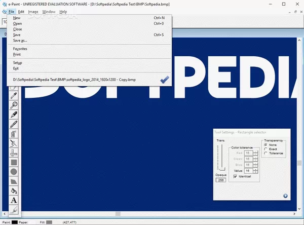 e-Paint Crack + Activator Download
