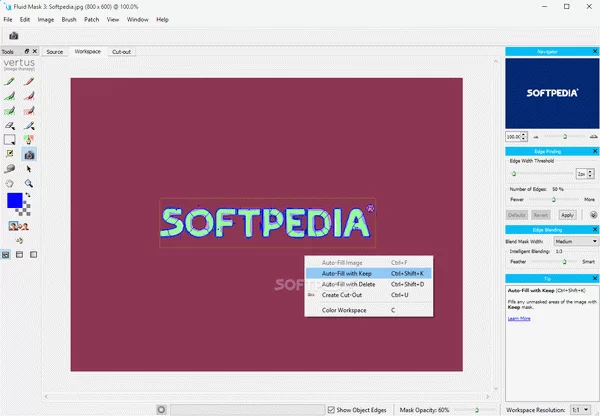 Fluid Mask Crack + Keygen Download