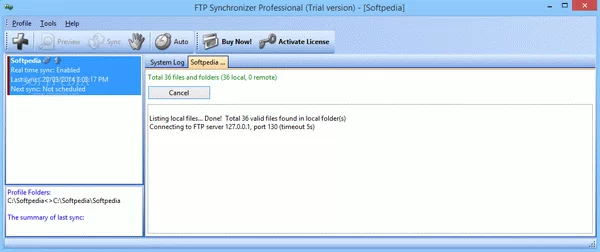 FTP Synchronizer Professional Crack + Activation Code Download 2025