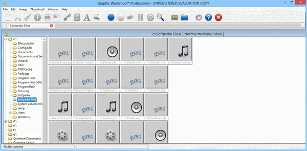 Graphic Workshop Professional Crack + Serial Number Download 2025