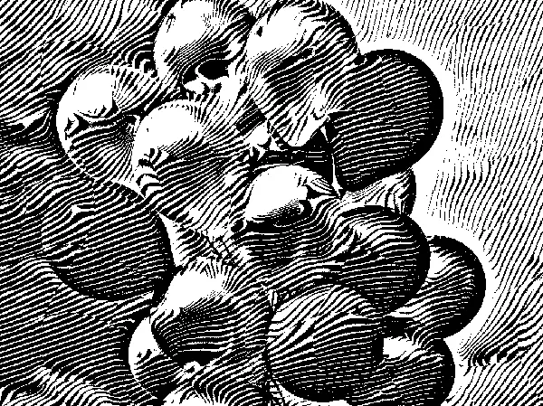 India Ink Crack + Serial Key Download 2025