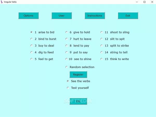 Irregular English Verbs Crack + Activator