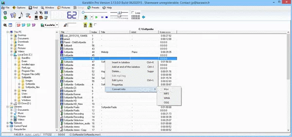 KaraWin Pro Crack + Serial Number Download 2025