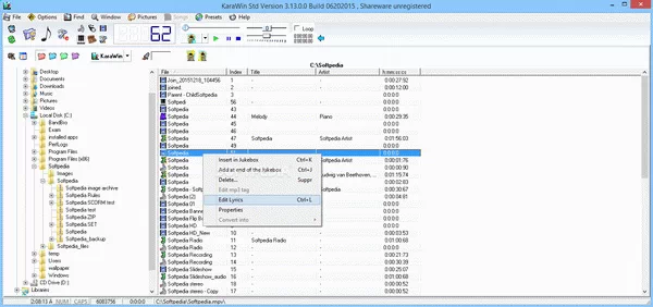 KaraWin Standard Crack + License Key Download 2025