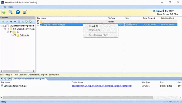 Kernel for BKF Crack With Activator Latest