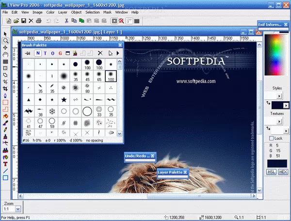 LView Pro Crack & Keygen