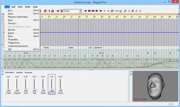 Magpie Pro Crack With Activator 2025