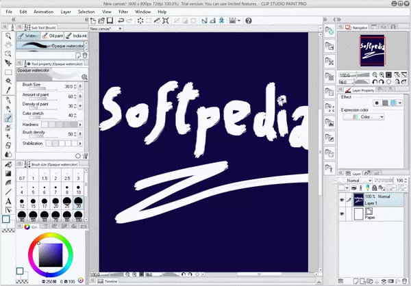CLIP STUDIO PAINT PRO Crack + License Key (Updated)