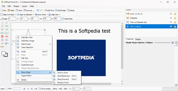 MSTech Paint Pro Crack + Keygen