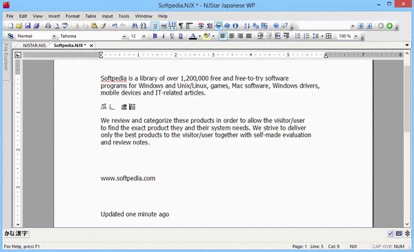NJStar Japanese WP (formerly NJStar Japanese Word Processor) Crack + Activator (Updated)