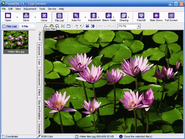 PhotoRite FX Crack & License Key