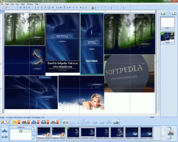 Picasso Dg Photo Album Pro Crack + Activator Updated