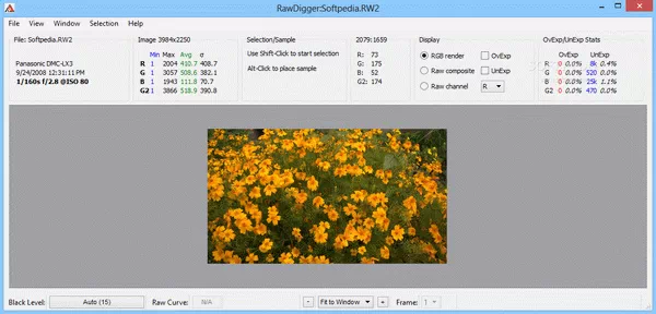 RawDigger Crack + License Key Download