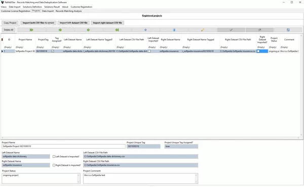 Remadder Portable Crack With Activator Latest 2025