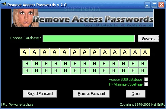 Remove Access Passwords Crack With Activator