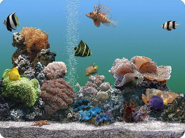 SereneScreen Marine Aquarium Crack + License Key Download 2025