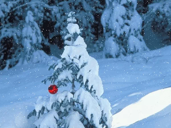 SnowFall Living Desktop Crack Full Version