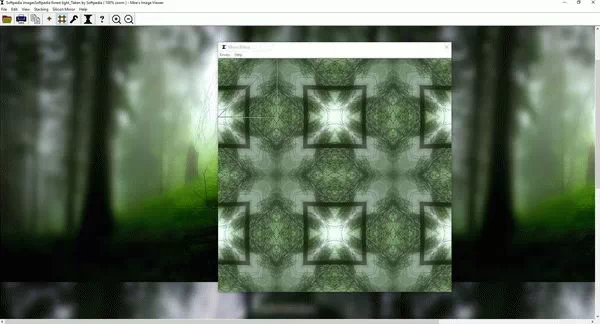 The Silicon Mirror and Moe's Image Viewer Crack + Keygen Download