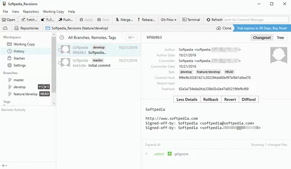Tower Crack + Serial Number