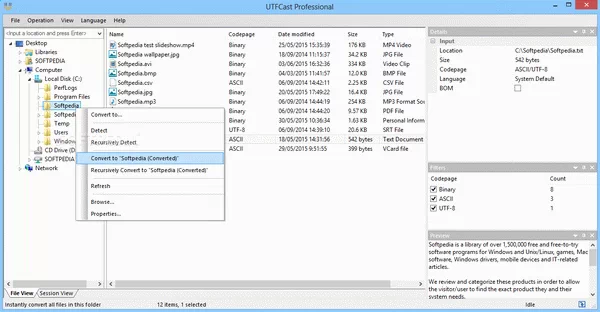 UTFCast Professional Crack With Keygen Latest 2025