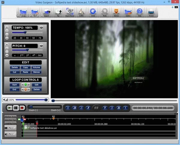 Video Surgeon Crack & Activator