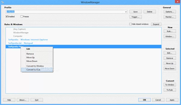 WindowManager Crack Plus Serial Number
