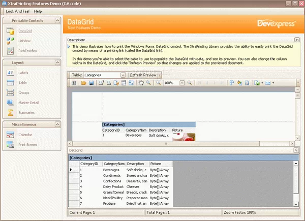 XtraPrinting Library Crack + Keygen